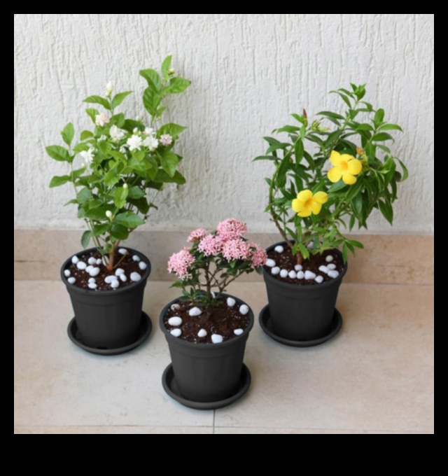 Blossom Boost: Floral Nursery Elegance