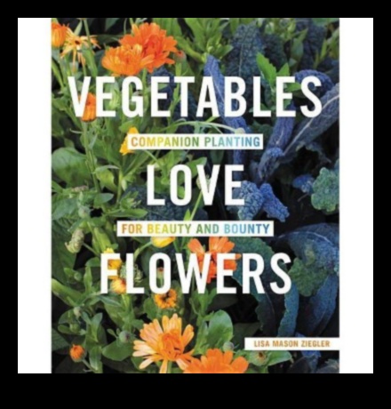 Blossom Bounty: Mastering the Art of Holistic Garden Care