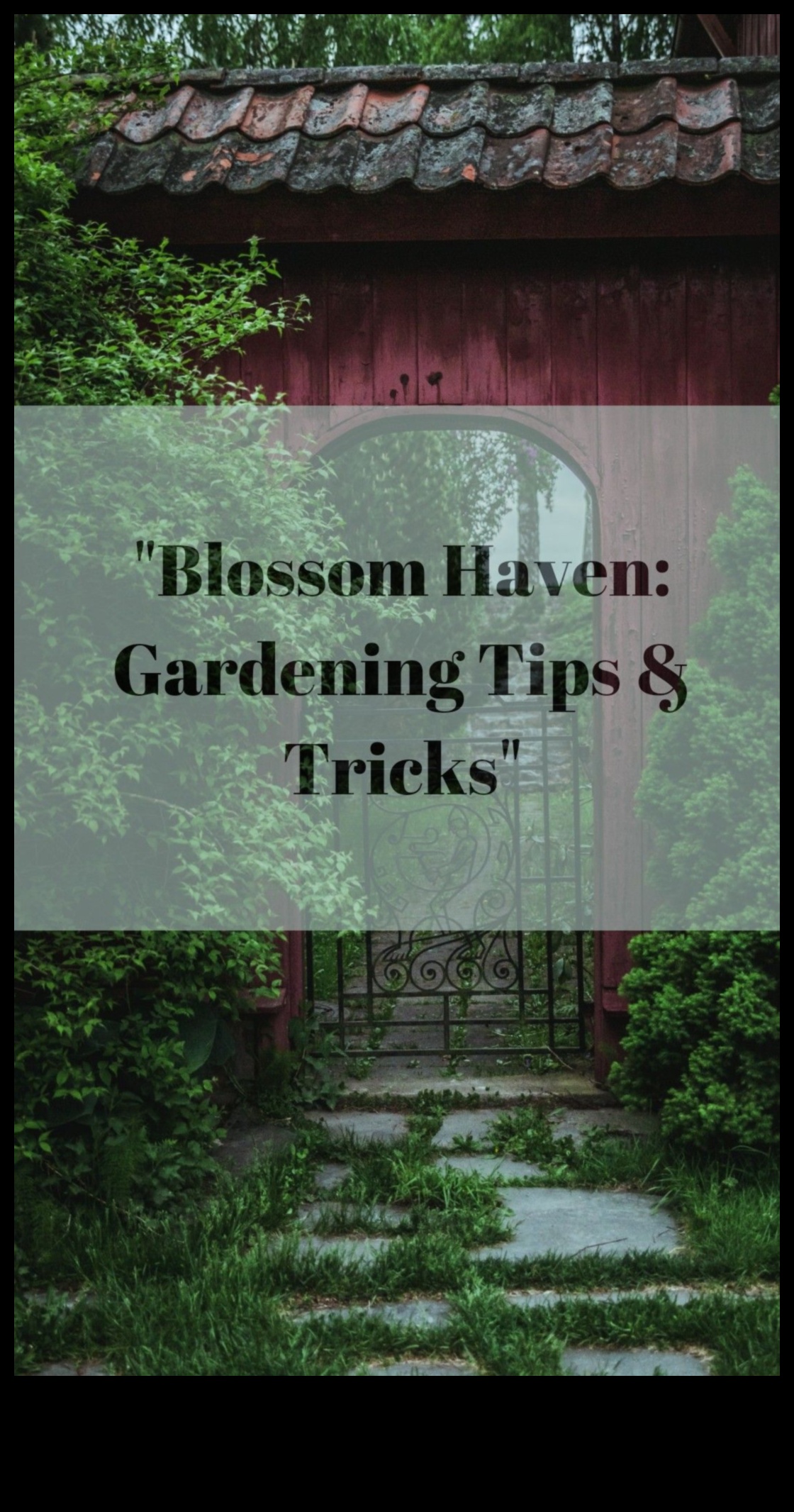 Blossom Brilliance: Proven Tips for a Lush Garden Haven