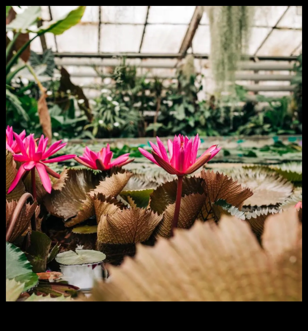 Blossom Brilliance: Proven Tips for a Lush Garden Haven