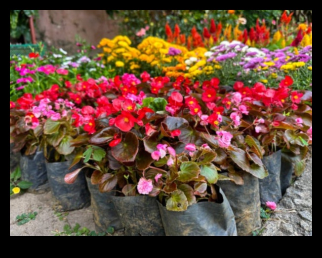 Blossom Brilliance: Essential Steps for Proactive Garden Care
