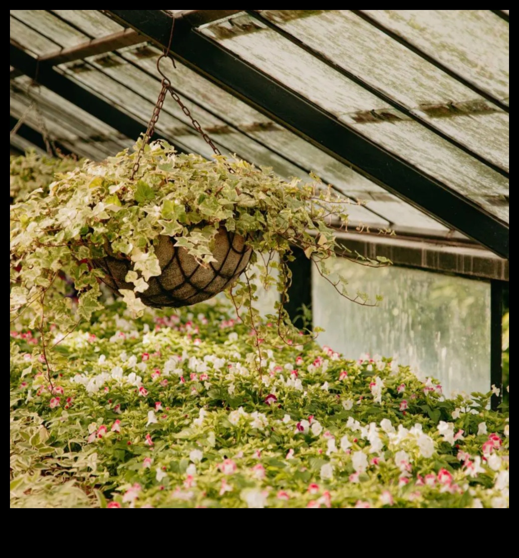 Blossom Brilliance: Elevate Your Space with Garden Mastery