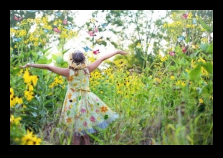 Blossom Brilliance: The Beauty of Garden Education