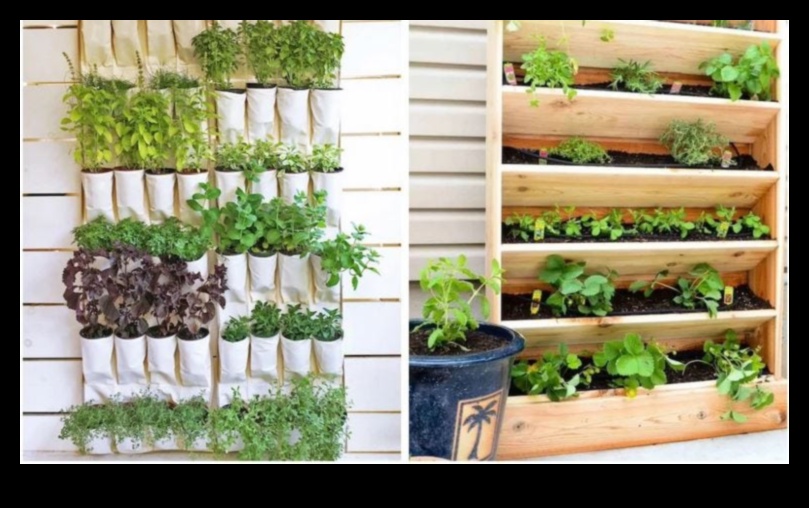 Blossom Heights Vertical Gardening for Every Space, No Matter How Small 1