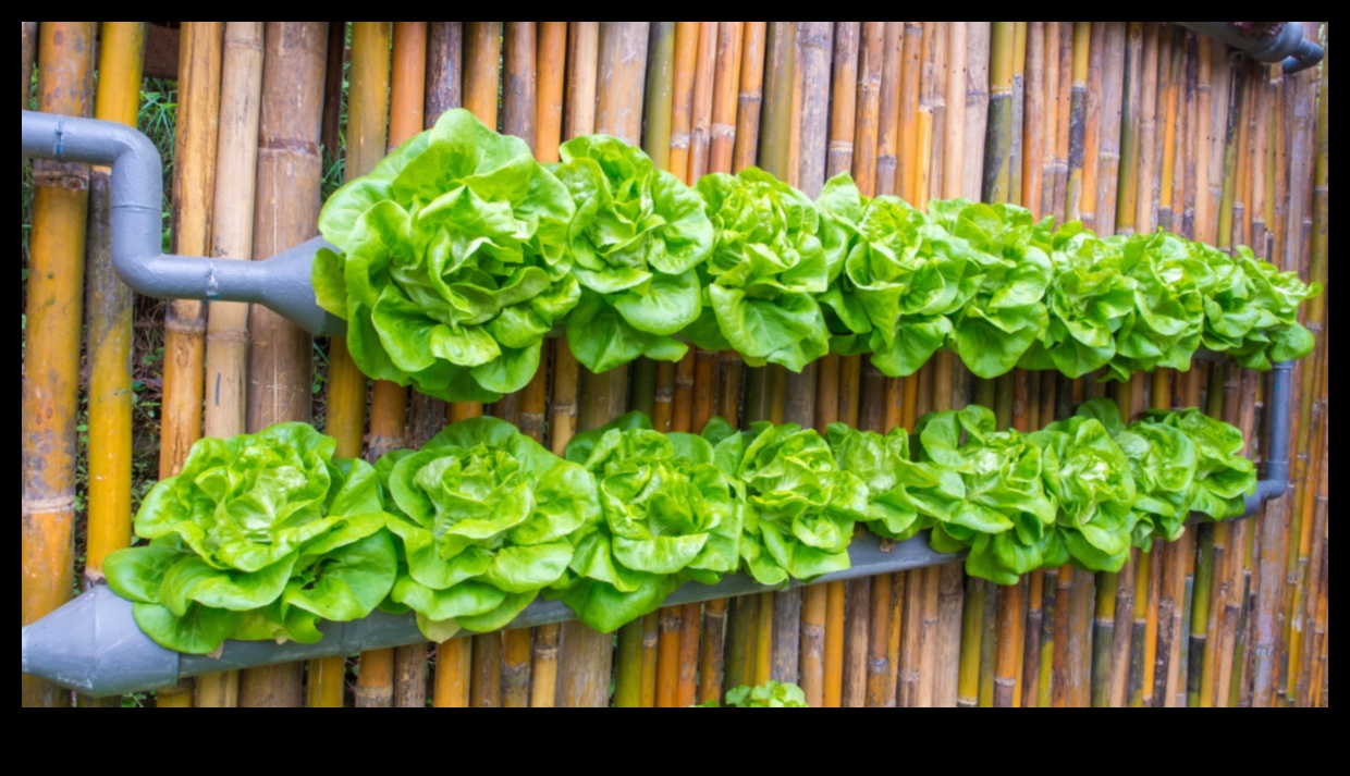 Blossom Heights: Vertical Gardening for Every Space