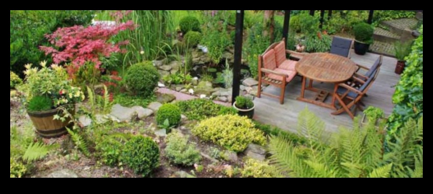 Blossom Mastery: Pro Tips for a Stunning Garden Oasis