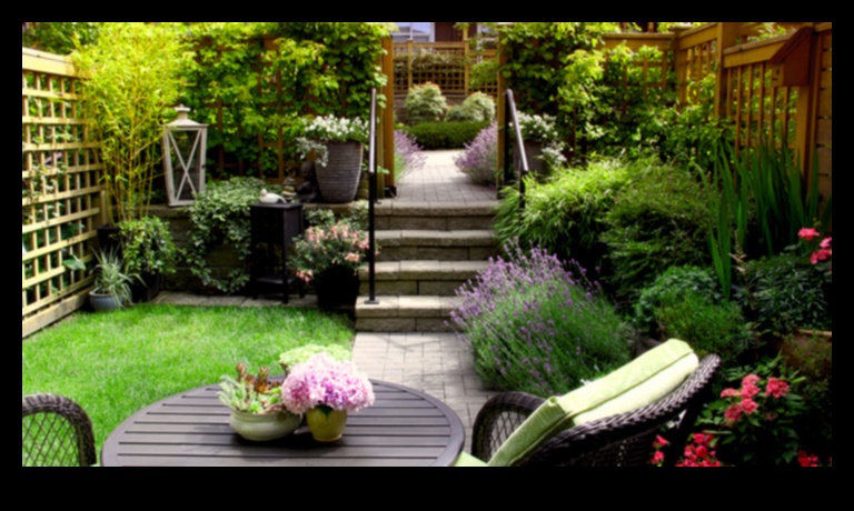 Blossom Mastery: Pro Tips for a Stunning Garden Oasis