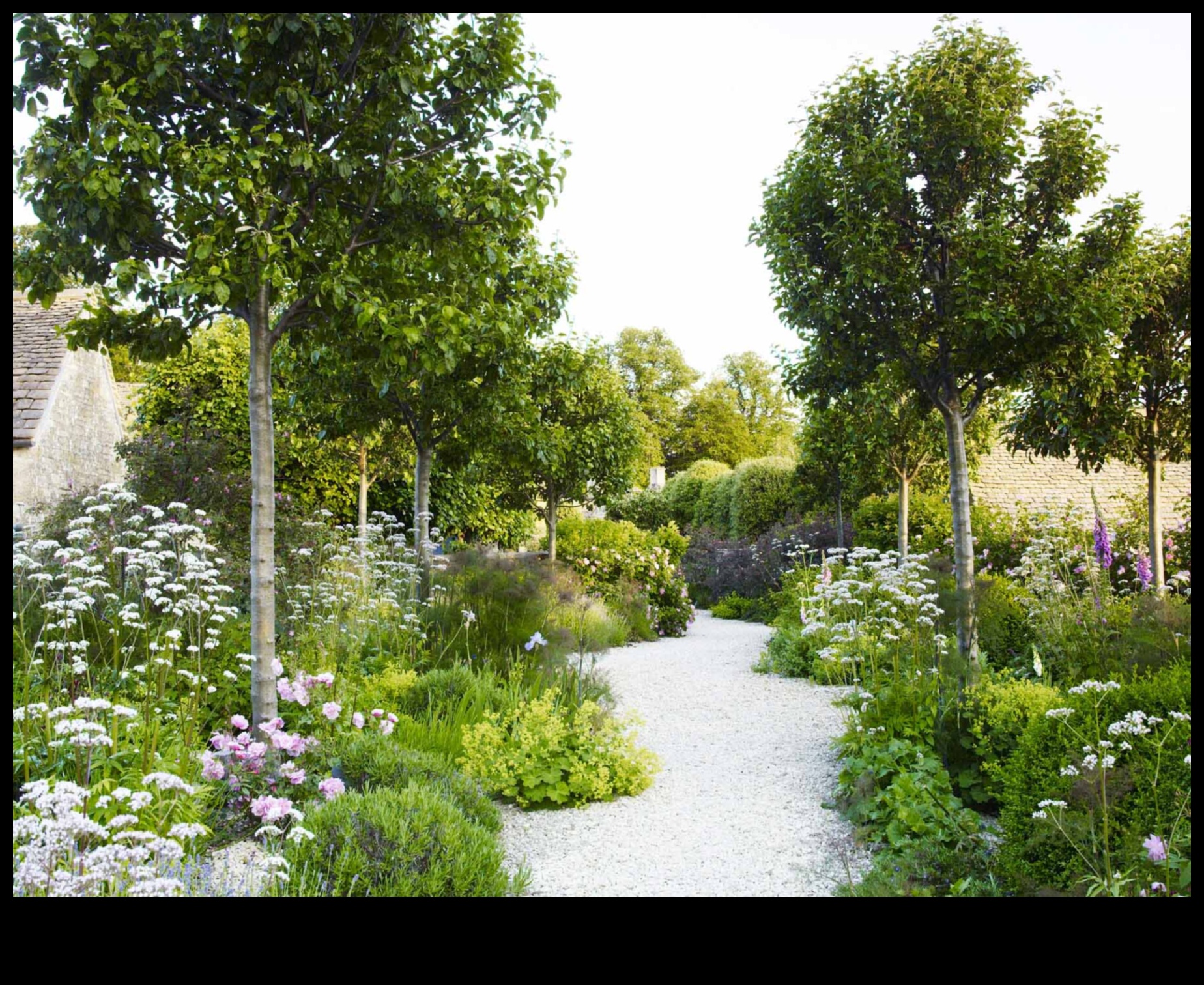 Blossom Retreats: Elevating Spaces with Cottage Gardens