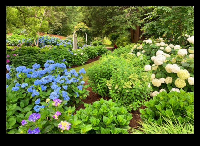 Blossom Trails A Guide to Crafting Enchanted Gardens with Cottages 1