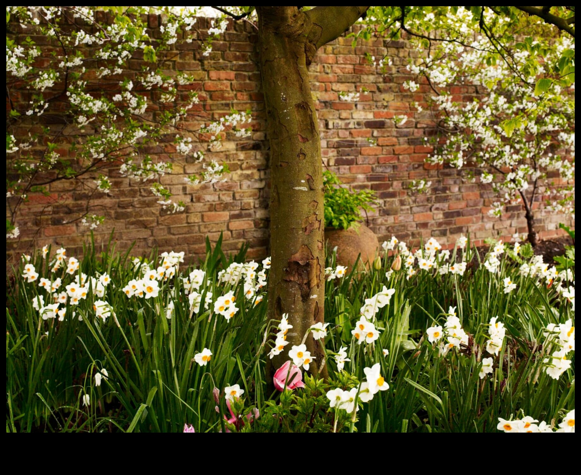 Blossom and Bloom Floral Nursery Perfection for Every Occasion 3 Blossom and Bloom: Floral Nursery Perfection