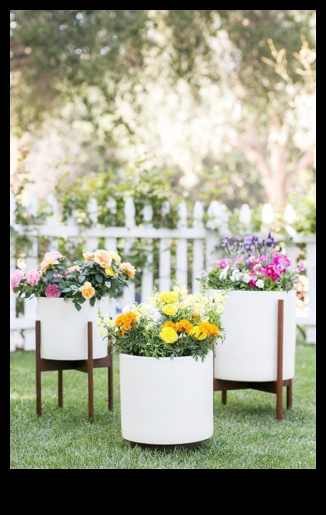 Blossom in Style: Trendy Garden Decor Ideas Unveiled