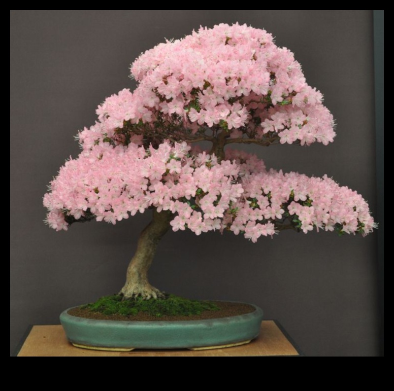 Blossoming Bonsai: Captivating Japanese Gardening
