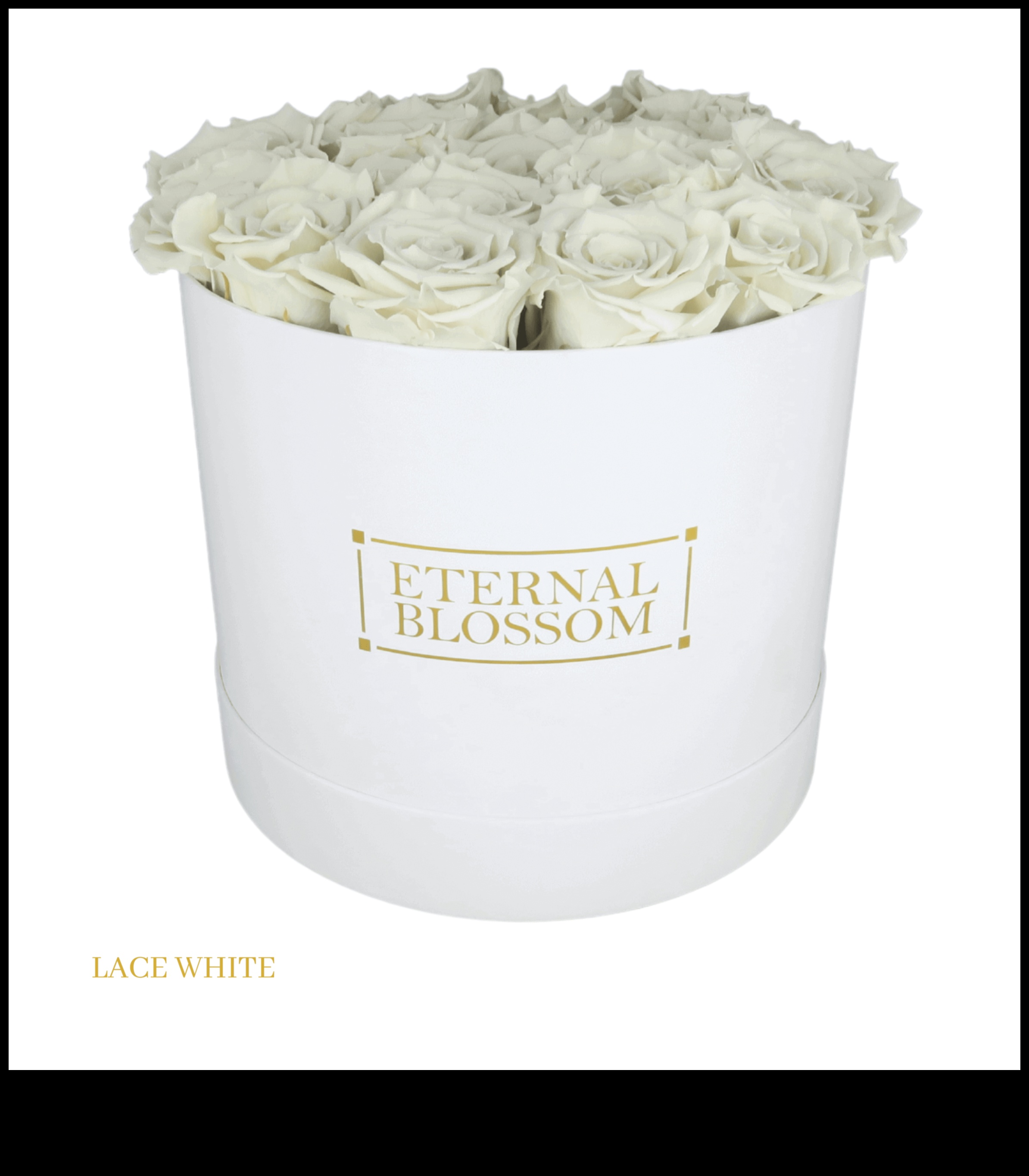 Blossoming Boxes: Container Gardening for Every Season