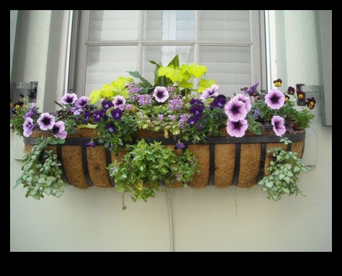 Blossoming Boxes: Container Gardening for Every Season