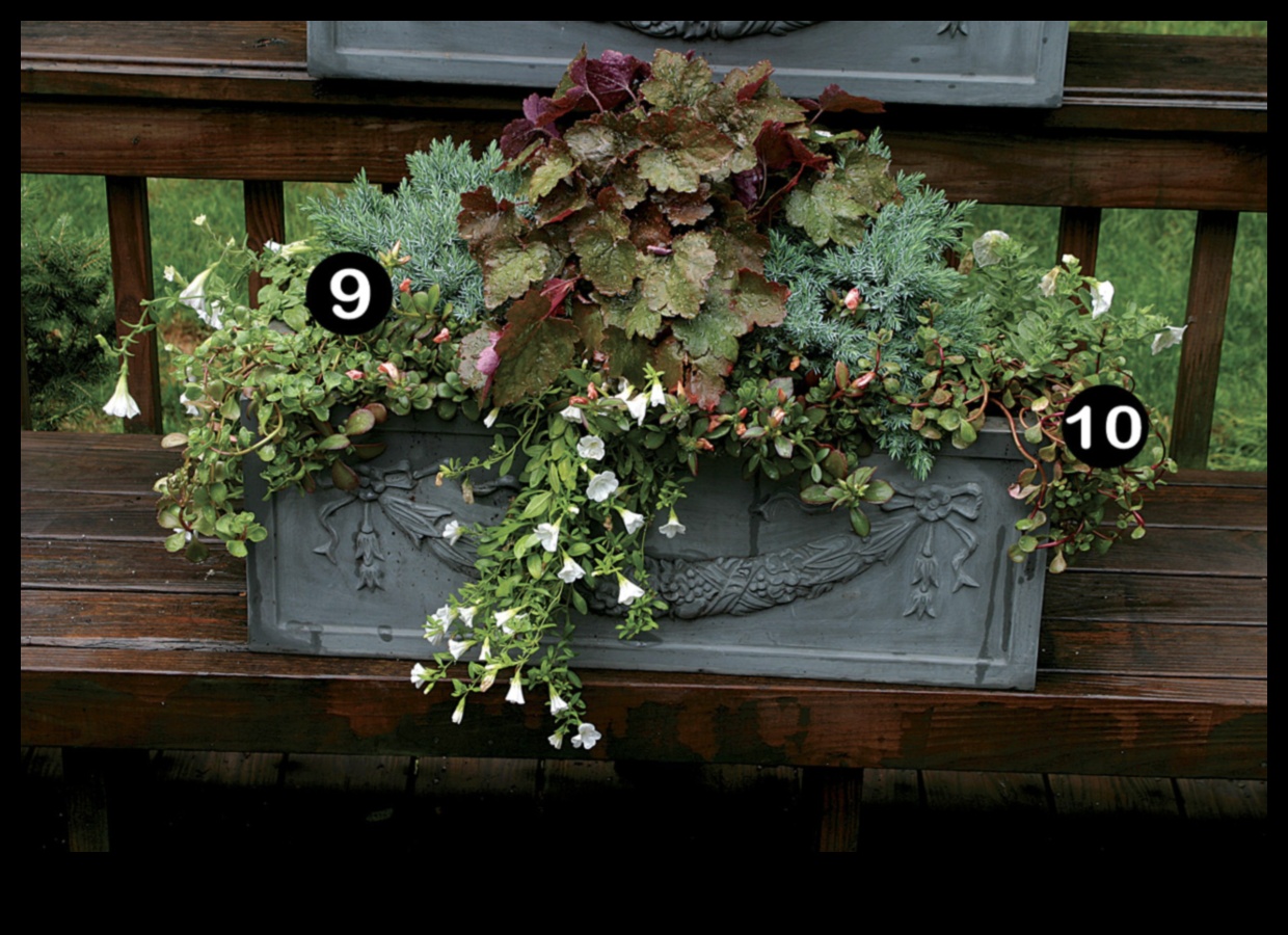Blossoming Boxes: Container Gardening for Every Season