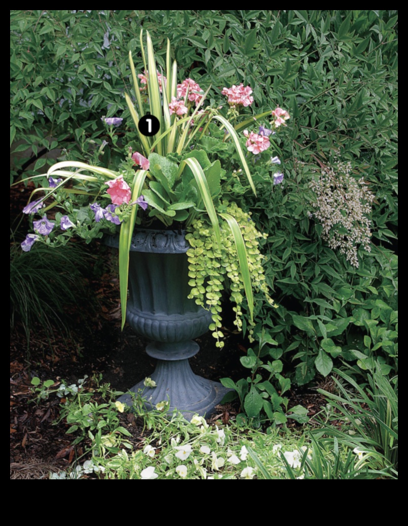 Blossoming Boxes: Container Gardening for Every Season