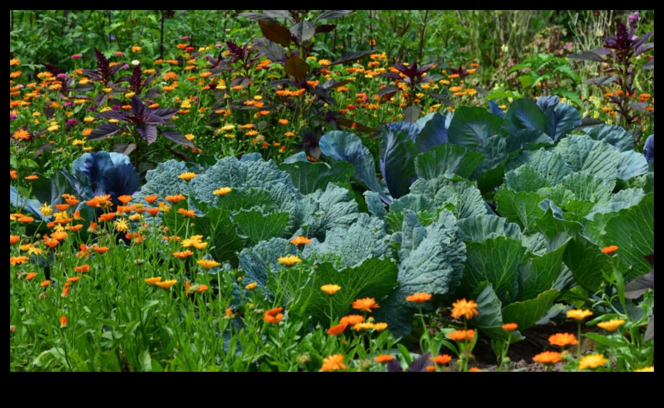 Blossoming Companions: Elevate Beauty with Companion Planting