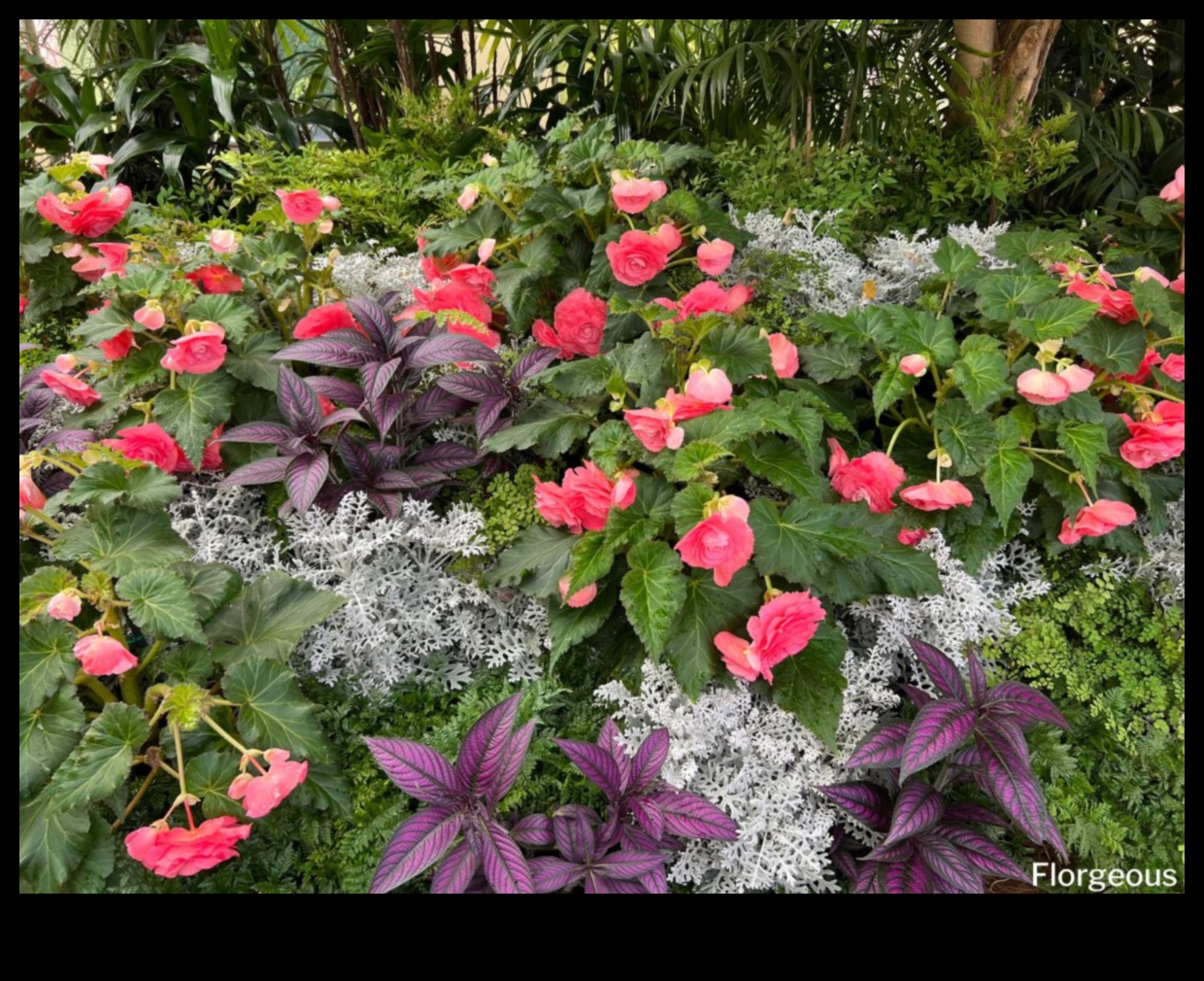 Blossoming Companions: Elevate Beauty with Companion Planting