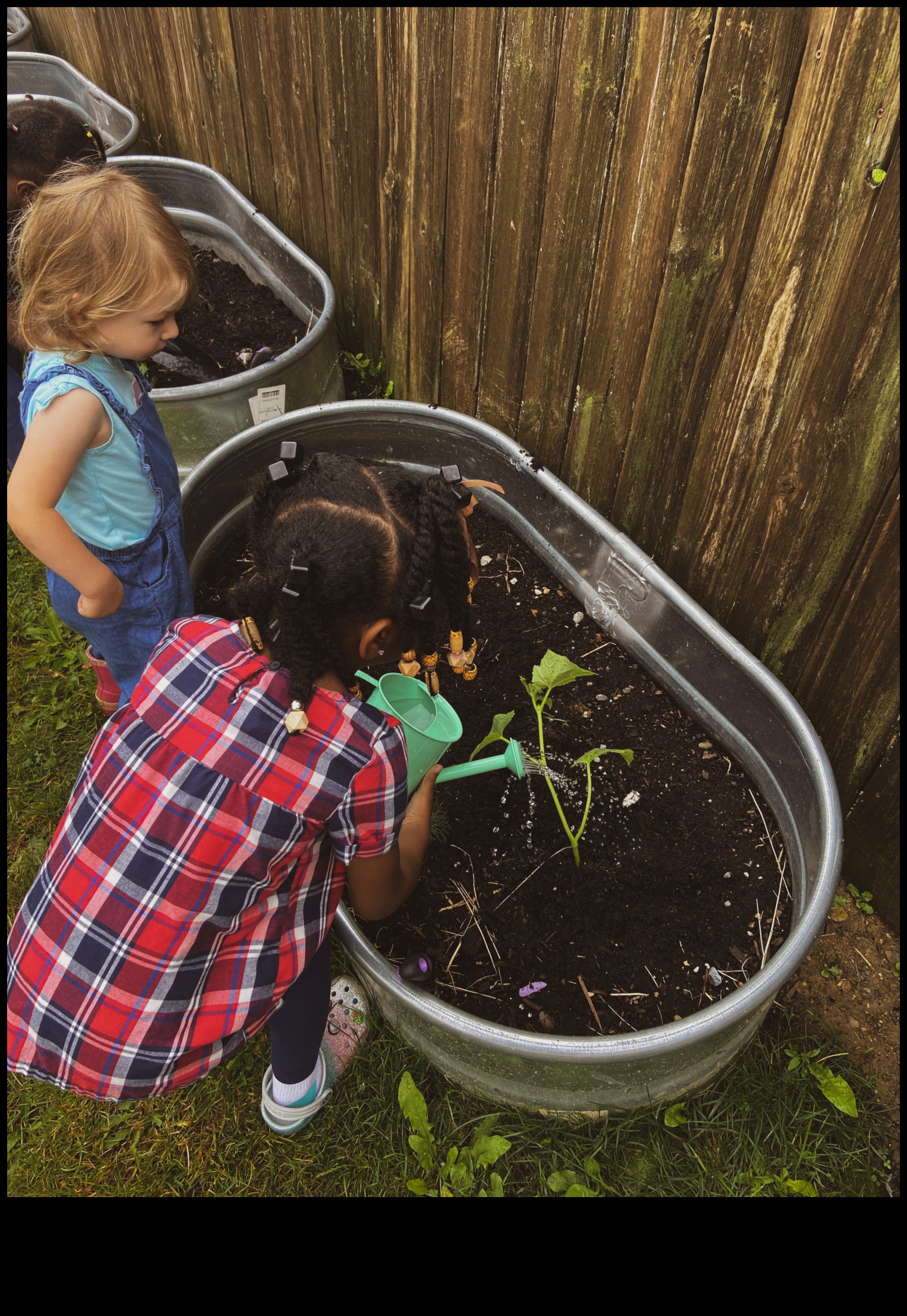 Blossoming Minds: Hands-On Garden Learning Experiences