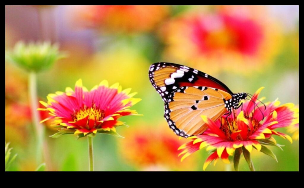 Blossoming Nature A Sign of Spring's Reawakening 1