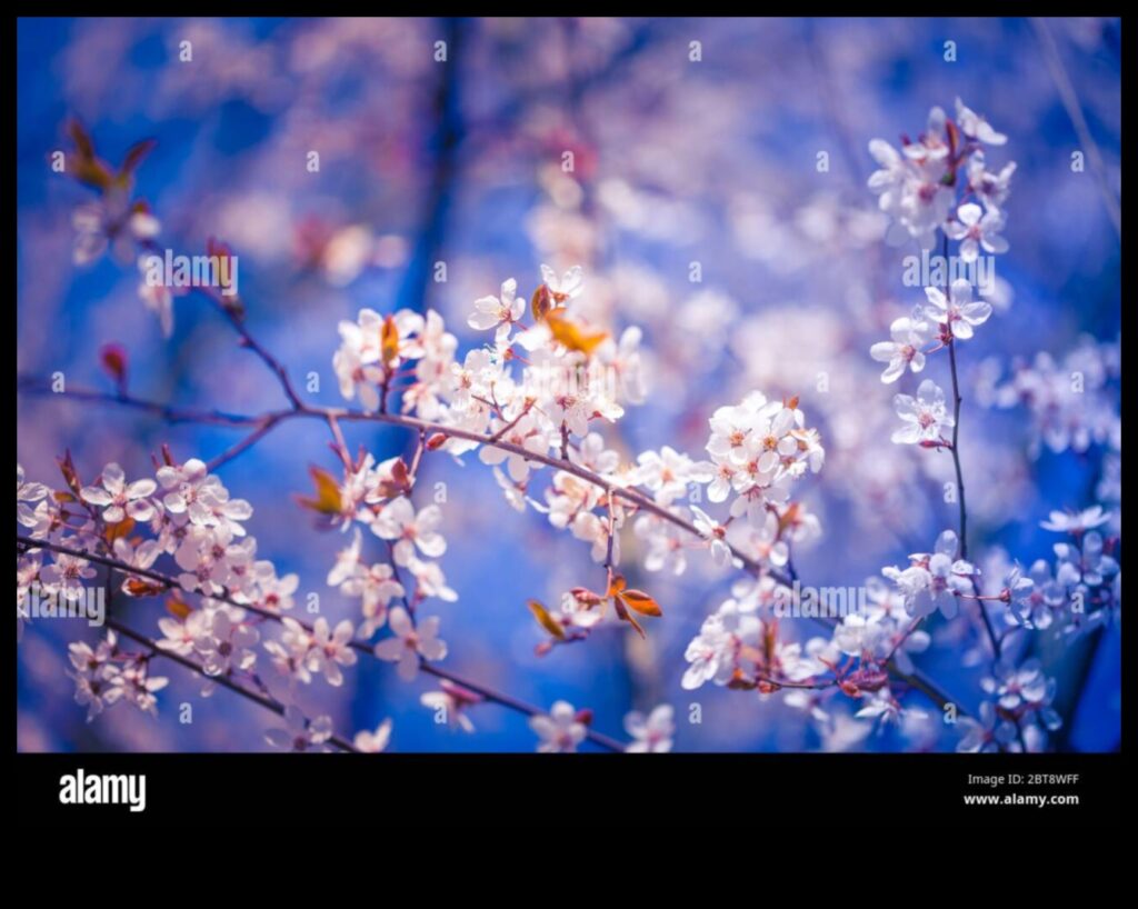 Blossoming Nature in Spring 1