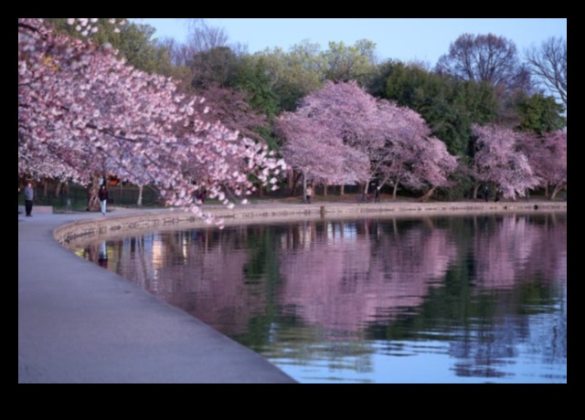 Blossoming Beginnings: Celebrating the Beauty of Spring