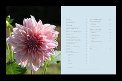 Blossoms at Home: Mastering the Art of Indoor Gardening