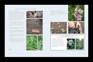 Blossoms at Home: Mastering the Art of Indoor Gardening