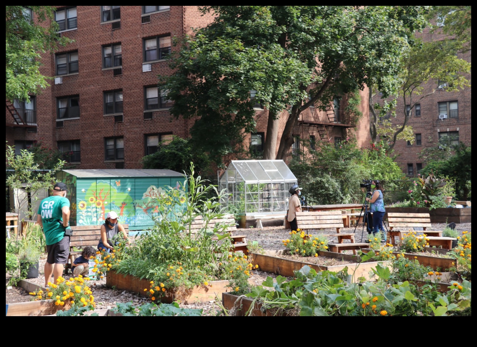 Blossoms in the Boroughs: Urban Gardening Marvels