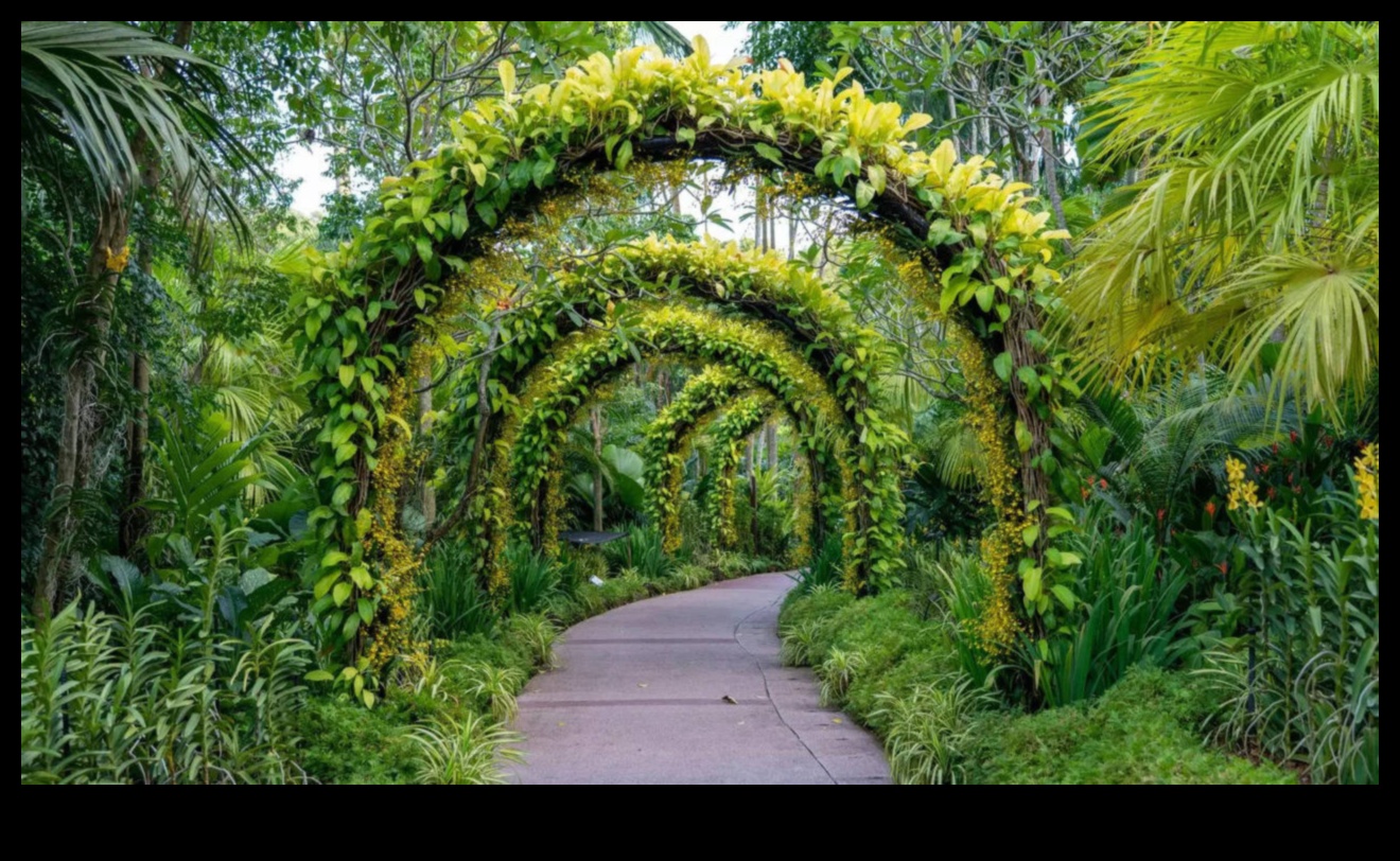 Botanical Bliss: Garden Design Wonders Revealed