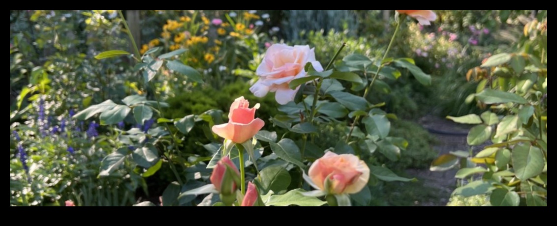 Botanical Bliss: Unlock the Full Potential with Top Equipment