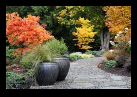 Botanical Bliss: Unlock the Full Potential with Top Equipment