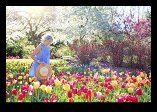 Botanical Bliss: Unlock the Full Potential with Top Equipment