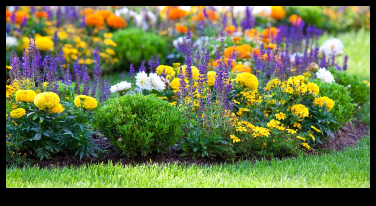 Botanical Bonds: Secrets of Successful Companion Planting