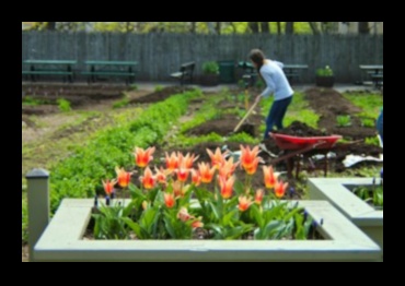 Botanical Mastery Unleashing Your Potential in Garden Workshops 1