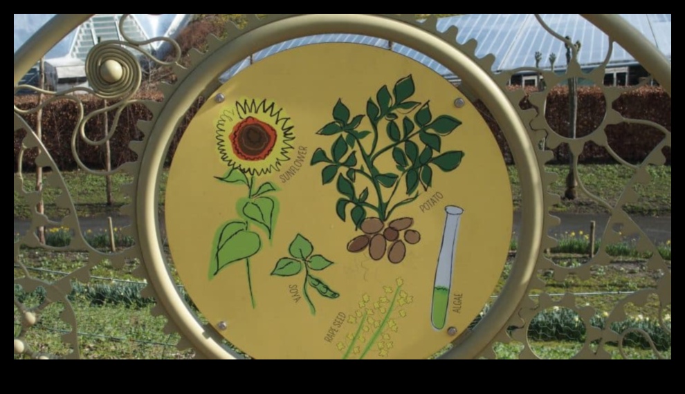 Botanical Minds Cultivating a love of nature through garden education 1