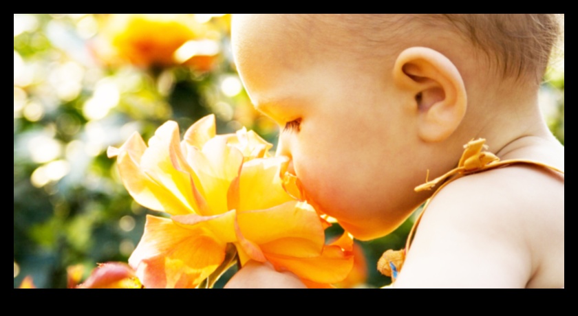 Bouncing Blossoms How Floral Touches Can Encourage Baby Development 2 Bouncing Blossoms: Playful Floral Touches in Baby Development