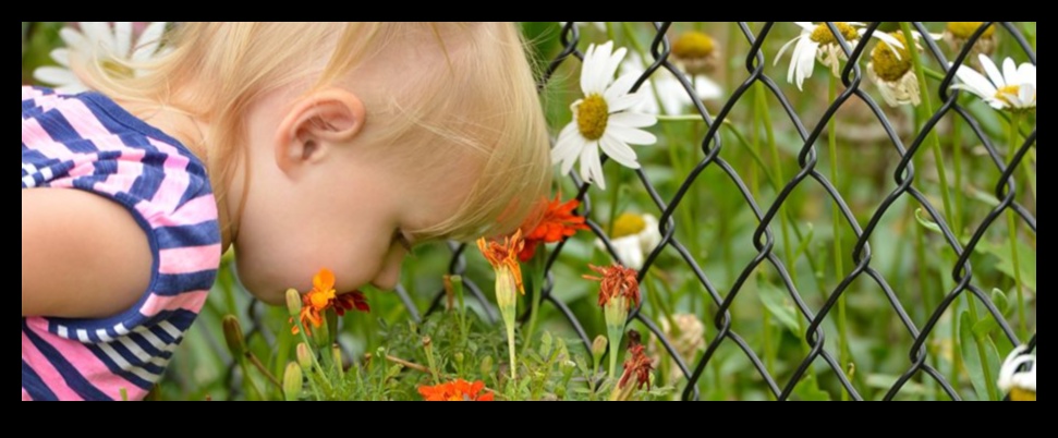 Bouncing Blossoms How Floral Touches Can Encourage Baby Development 4 Bouncing Blossoms: Playful Floral Touches in Baby Development