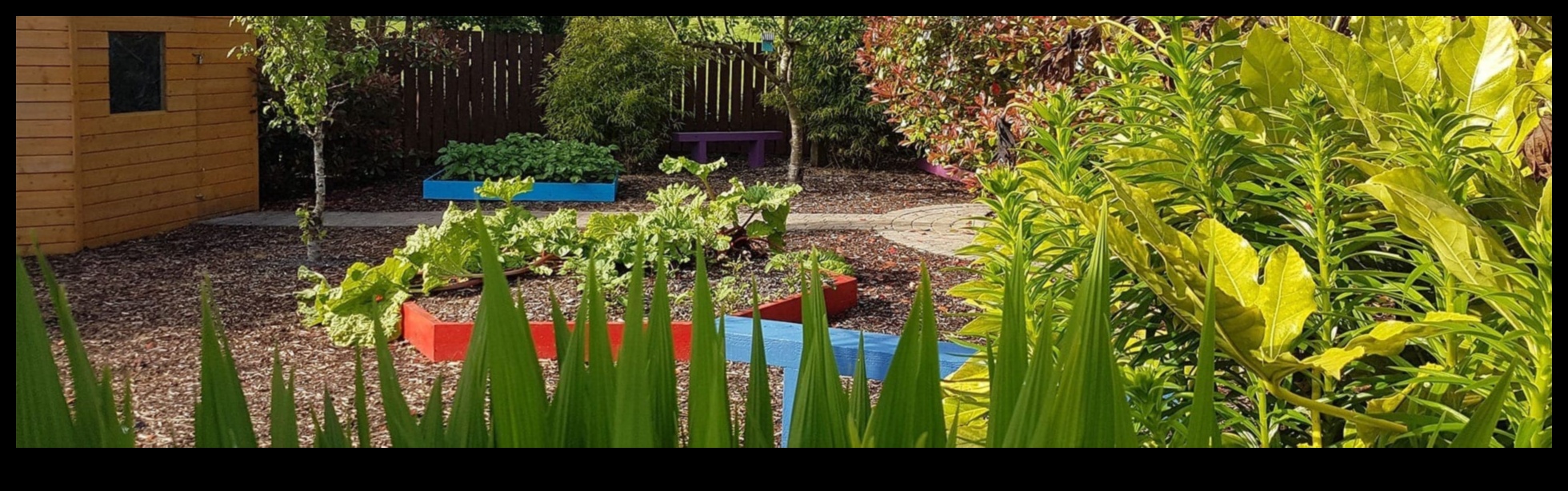 Bouncing Blossoms: Playful Floral Nursery Health Insights