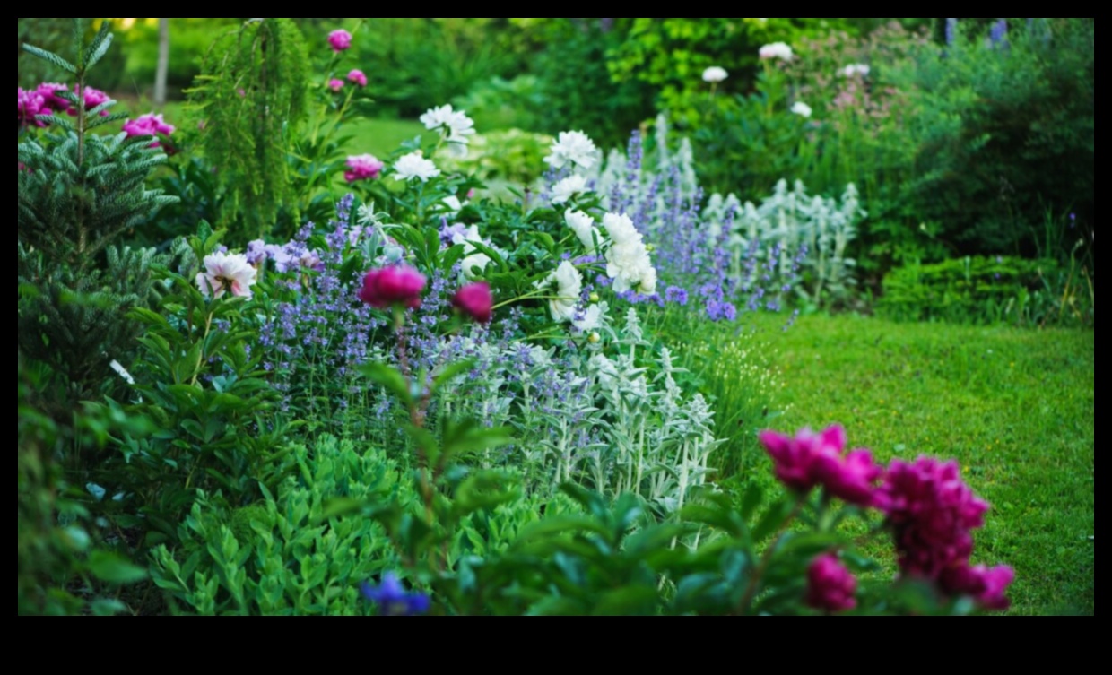 Bountiful Blooms: Maximizing Beauty Through Expert Garden Maintenance