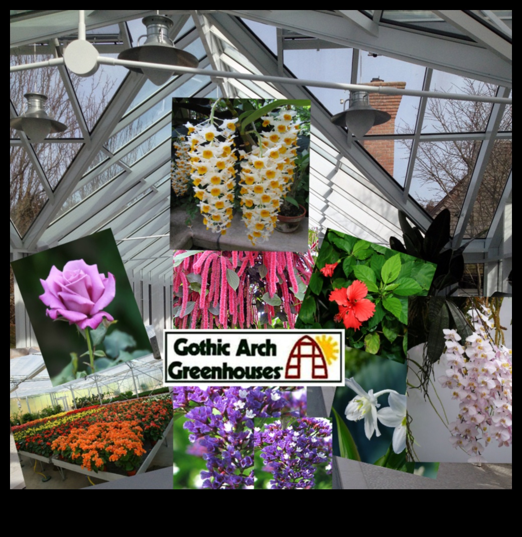 Bountiful Blossoms: Greenhouse Treasures Await