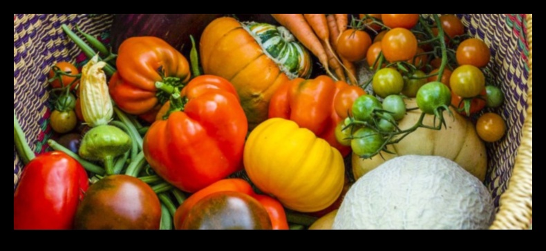 Bountiful Harvests: Unveiling the Secrets of Organic Gardening