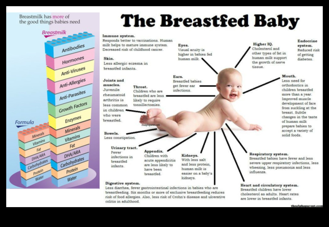 Breastfeeding A Bond That Goes Beyond Nutrition 2 Beyond Nutrition: The Emotional Benefits of Breast Milk