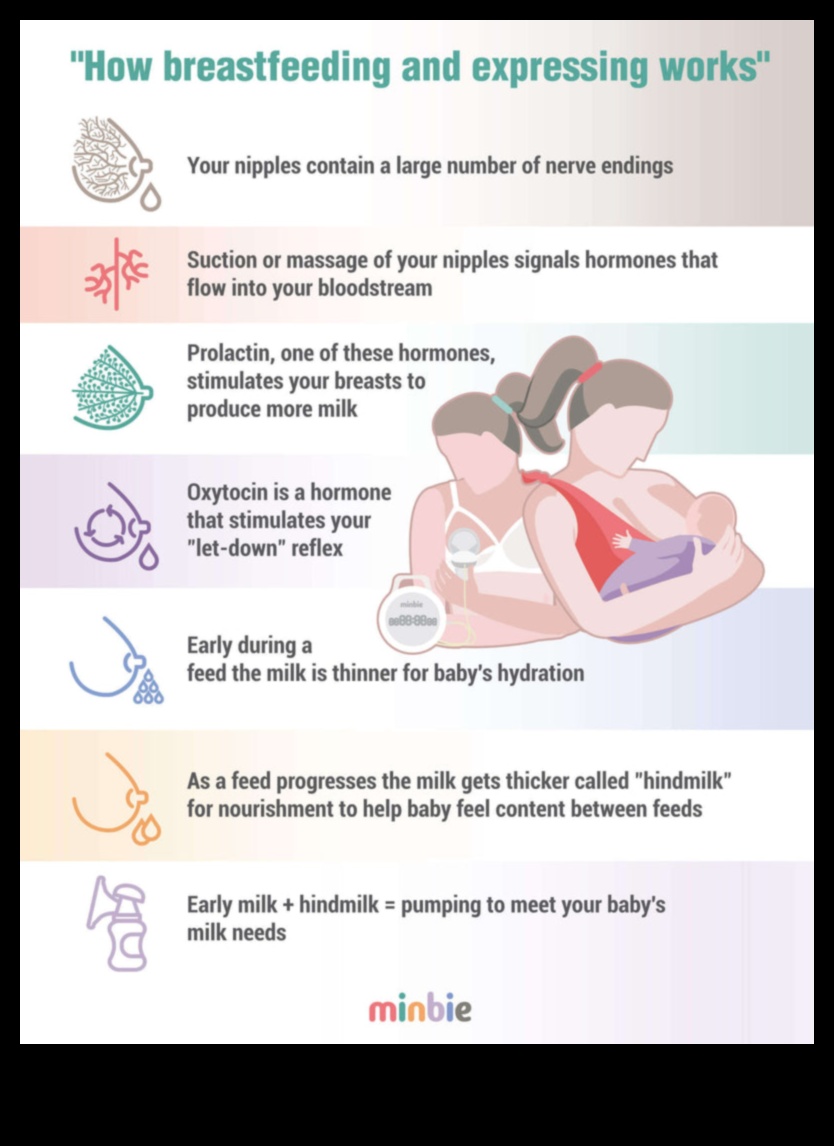 Breastfeeding Bliss How to Harmonize Your Heart and Milk 4 Breastfeeding Bliss: Harmonizing Heart and Milk