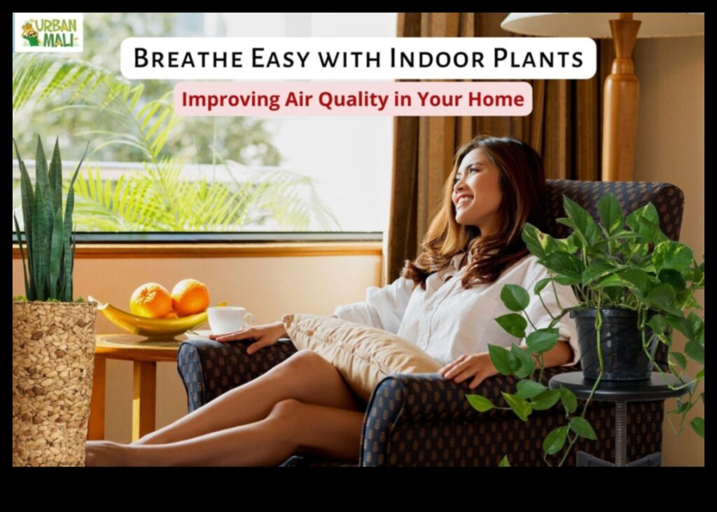 Breathe Easy 7 Indoor Gardening Tips for Cleaner Air 1