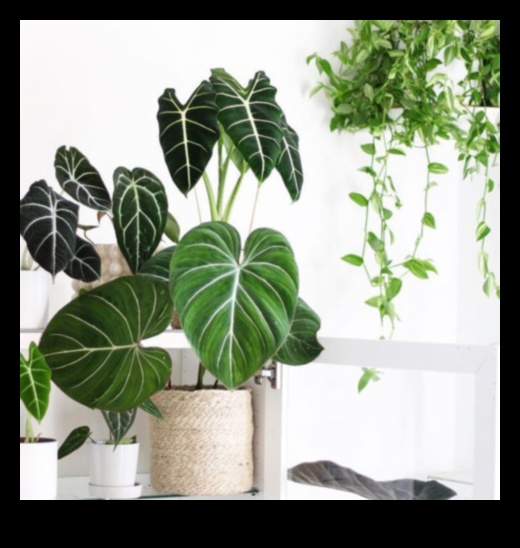 Breathe Easy: Indoor Gardening Tips for Cleaner Air