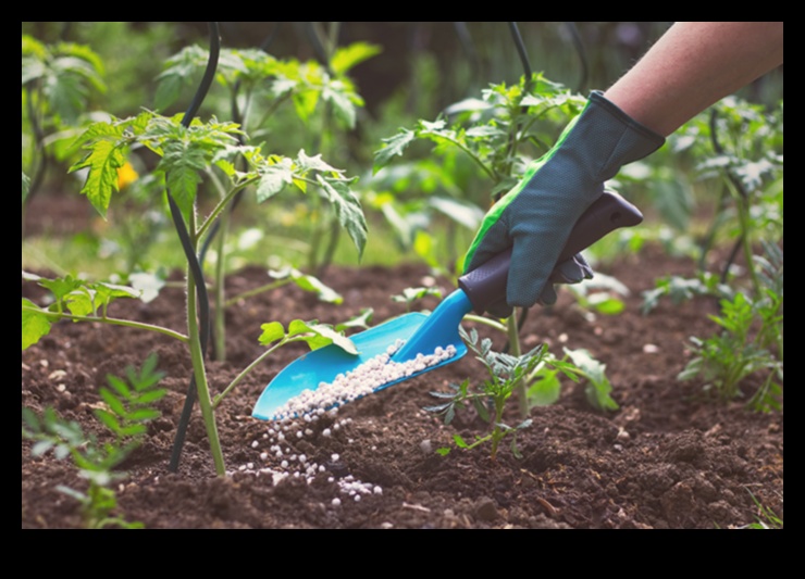 Breathe Life into Your Garden: Top-Notch Equipment Essentials
