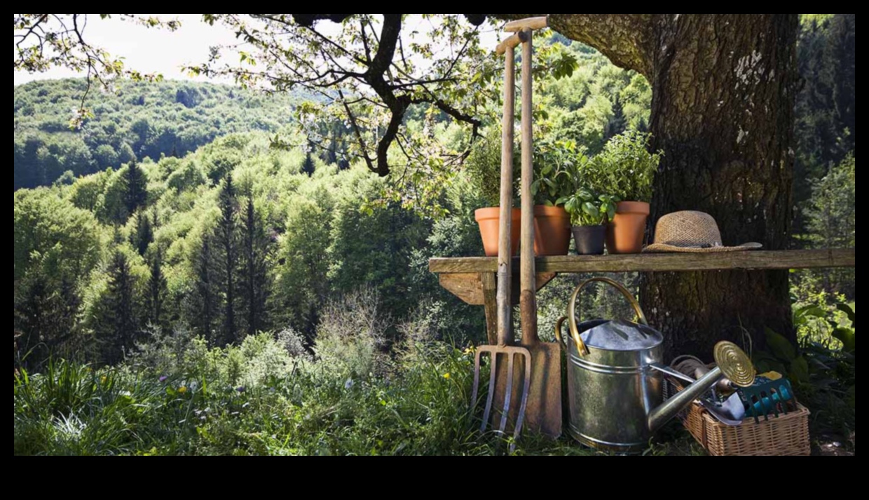 Breathe Life into Your Garden: Top-Notch Equipment Essentials