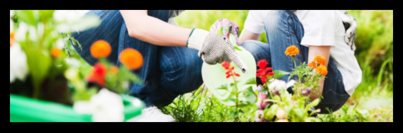 Breathe Life into Your Landscape: Discover Artful Garden Bliss