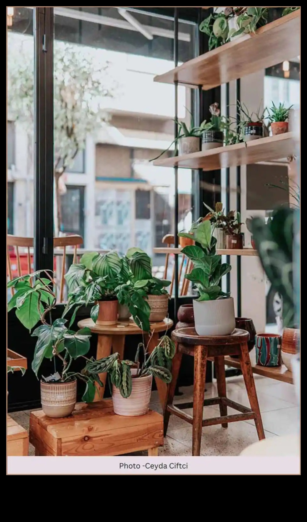 Breathe Life into Your Landscape: Captivating Garden Decor